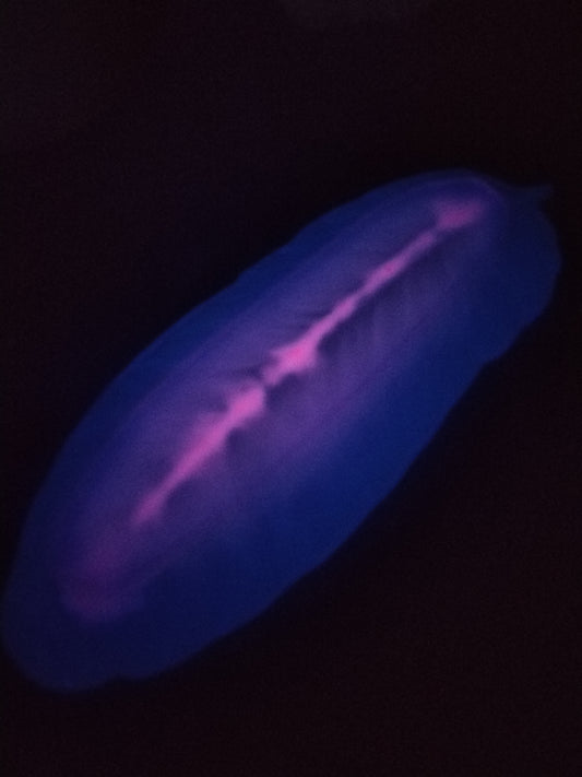 Glow In The Dark Feather Trinket Tray