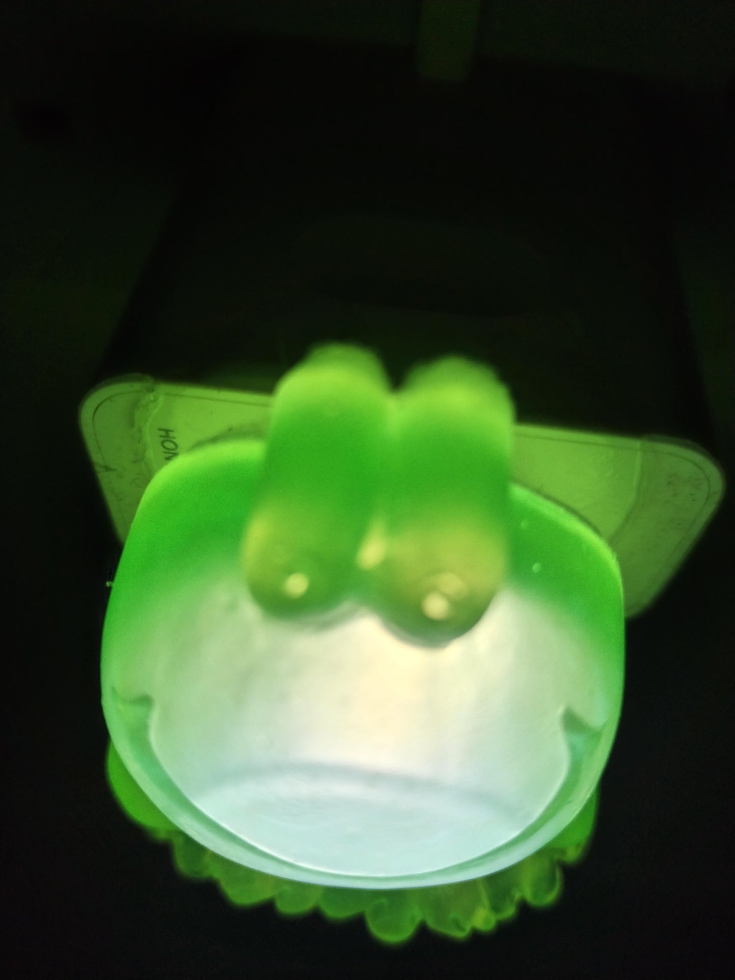 Freddie the Frog Night Light